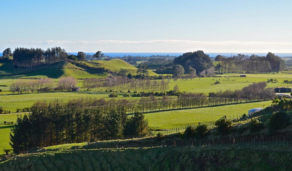 A Touch Of Tuscany At Hillsborough New Plymouth Bagian luar foto