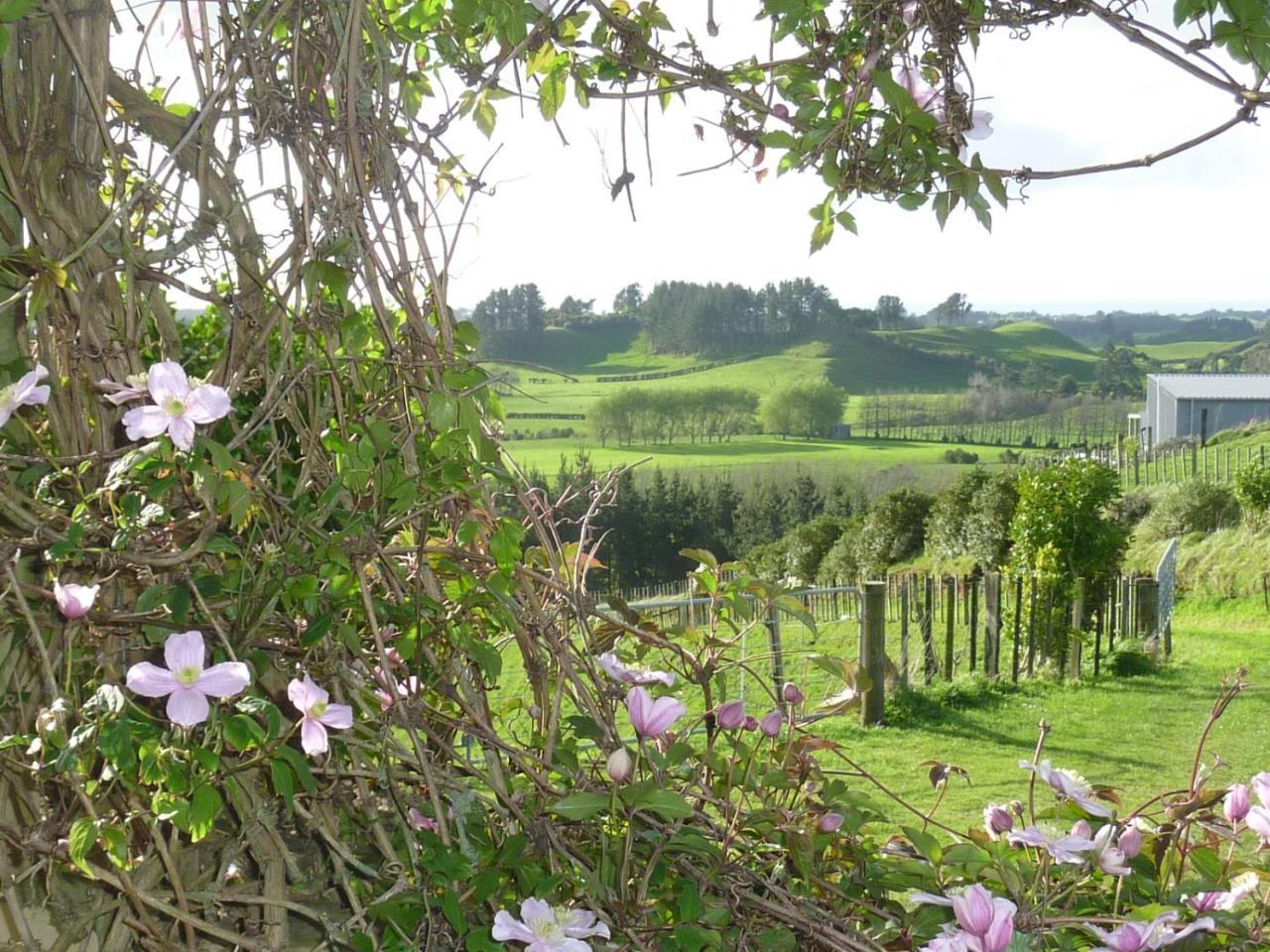 A Touch Of Tuscany At Hillsborough New Plymouth Bagian luar foto